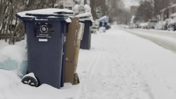 Ford promises fixes after new blue bin program has rough start in Toronto