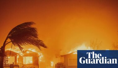 Three LA wildfire victims on surviving the horror – and what happened next | California