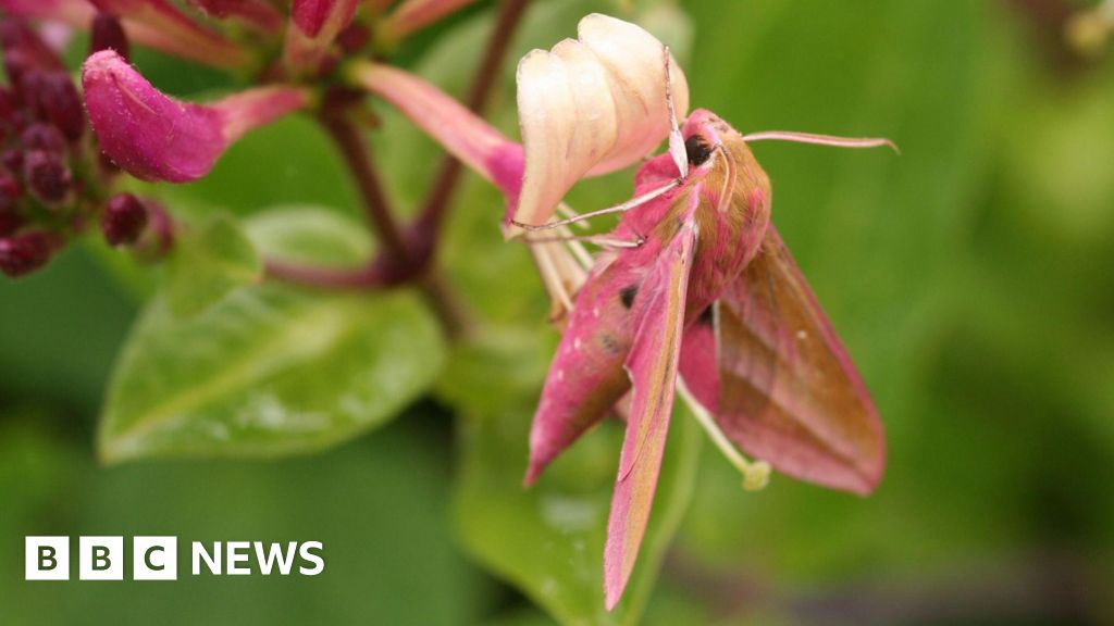 Durham wildlife protection consultation extended