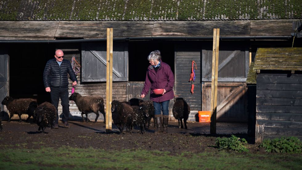 Peter McLoughlin, 56, and his wife Pamela, 58