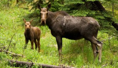 Nottinghamshire Live