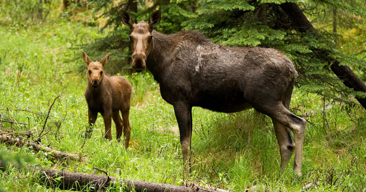 Nottinghamshire Live