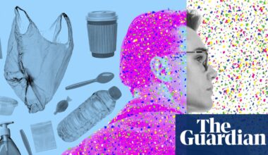 ‘A bombshell’: doubt cast on discovery of microplastics throughout human body | Plastics