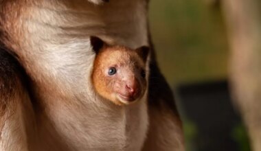 Manchester Evening News