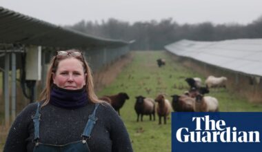 Solar grazing: ‘triple-win’ for sheep farmers, renewables and society or just a PR exercise for energy companies? | Solar power