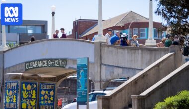 Locals oppose tearing down of Bondi terror attack bridge at Waverley Council meeting