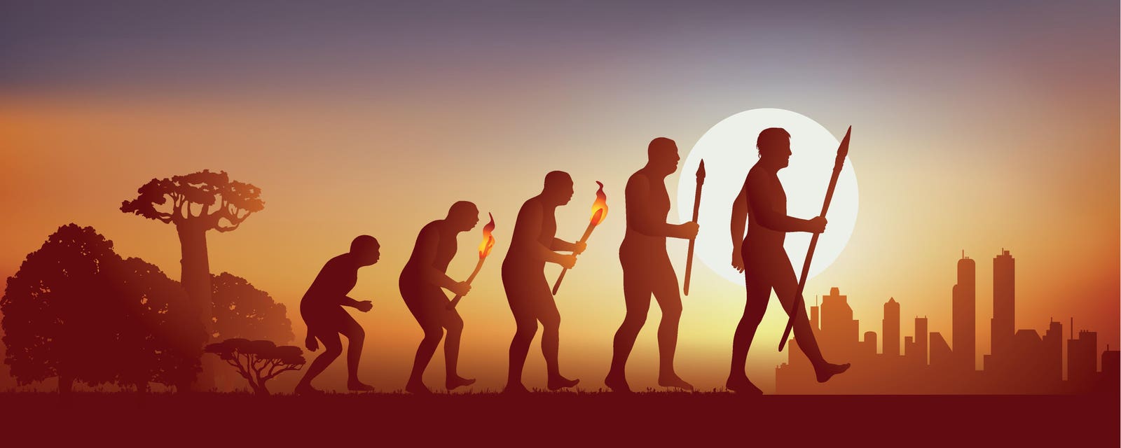 We Evolved Something Else Instead