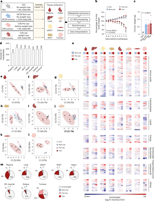 Multi-omics profiling of cachexia-targeted tissues reveals a spatio-temporally coordinated response to cancer