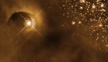 Hubble Observes Stars Flaring to Life in Orion