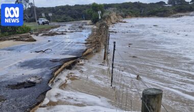 Artificial reefs among options in coastal SA town's erosion battle