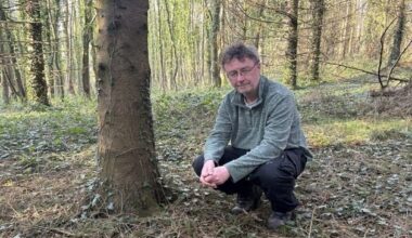 Tony Bailie: Co Down writer swaps words for woods with new Shinrin-yoku venture