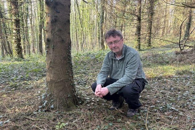 Tony Bailie: Co Down writer swaps words for woods with new Shinrin-yoku venture