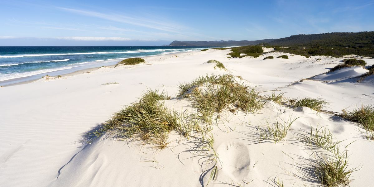 Scientists find space signals inside Australian beach sand