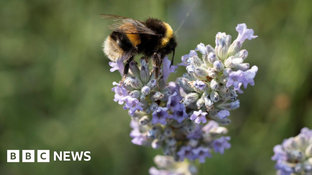 Public to have say on recovery strategy