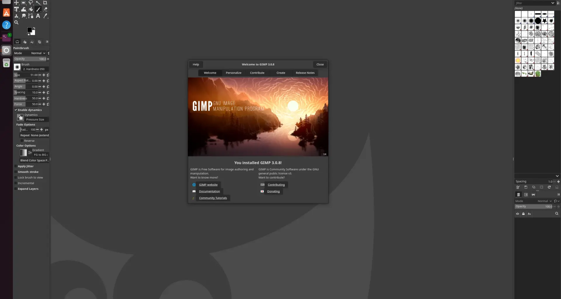 GIMP 3.0.8 on Linux
