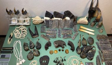 Three arrested for trafficking elephant tusks, rhinoceros horns and other animal goods