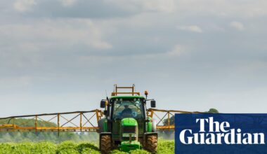 Food sector calls for transition period if UK and EU agree post-Brexit rules reset | Brexit