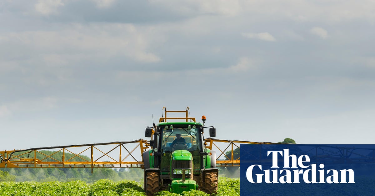 Food sector calls for transition period if UK and EU agree post-Brexit rules reset | Brexit