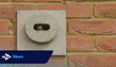 Swift bricks to be installed on all new buildings in Scotland