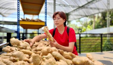 How good is a ginger shot for you? The wellness trend boasts a host of expert-backed benefits