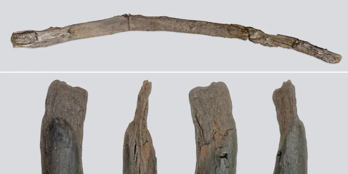 Archaeology breakthrough: Wooden tools from 430,000 years-ago unearthed