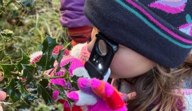 Hikers spot hundreds of flowers blooming on Jan. 1 in U.K.