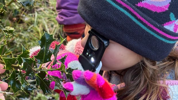 Hikers spot hundreds of flowers blooming on Jan. 1 in U.K.