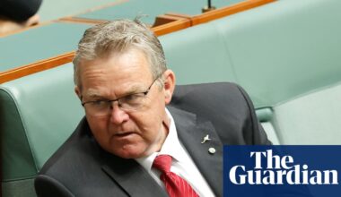 A ‘furious’ cattle farmer wants to be Nationals leader. But few expect the party to become a Boyce club | National party