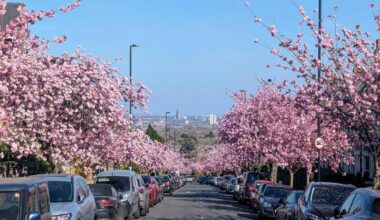 Muswell Hill - the urban village home to rock n roll stars