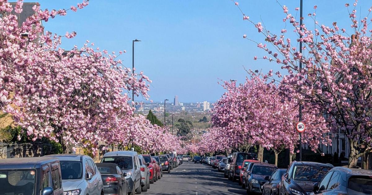 Muswell Hill - the urban village home to rock n roll stars