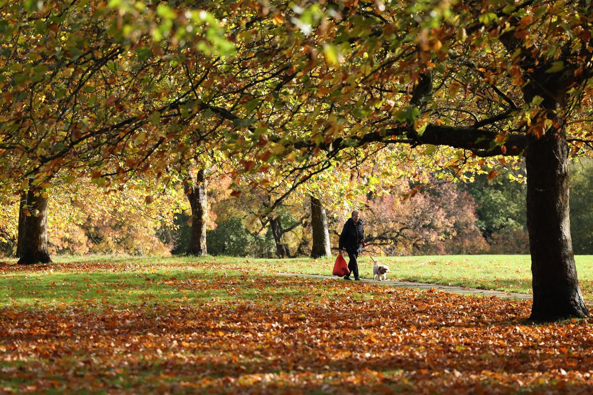 Autumnal colours in Liverpool