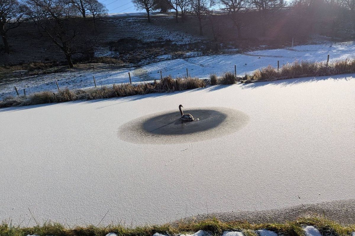 An aerial view of a frozen lake, displaying a circular pattern on the ice surface, surrounded by a snowy landscape with sparse vegetation and distant trees