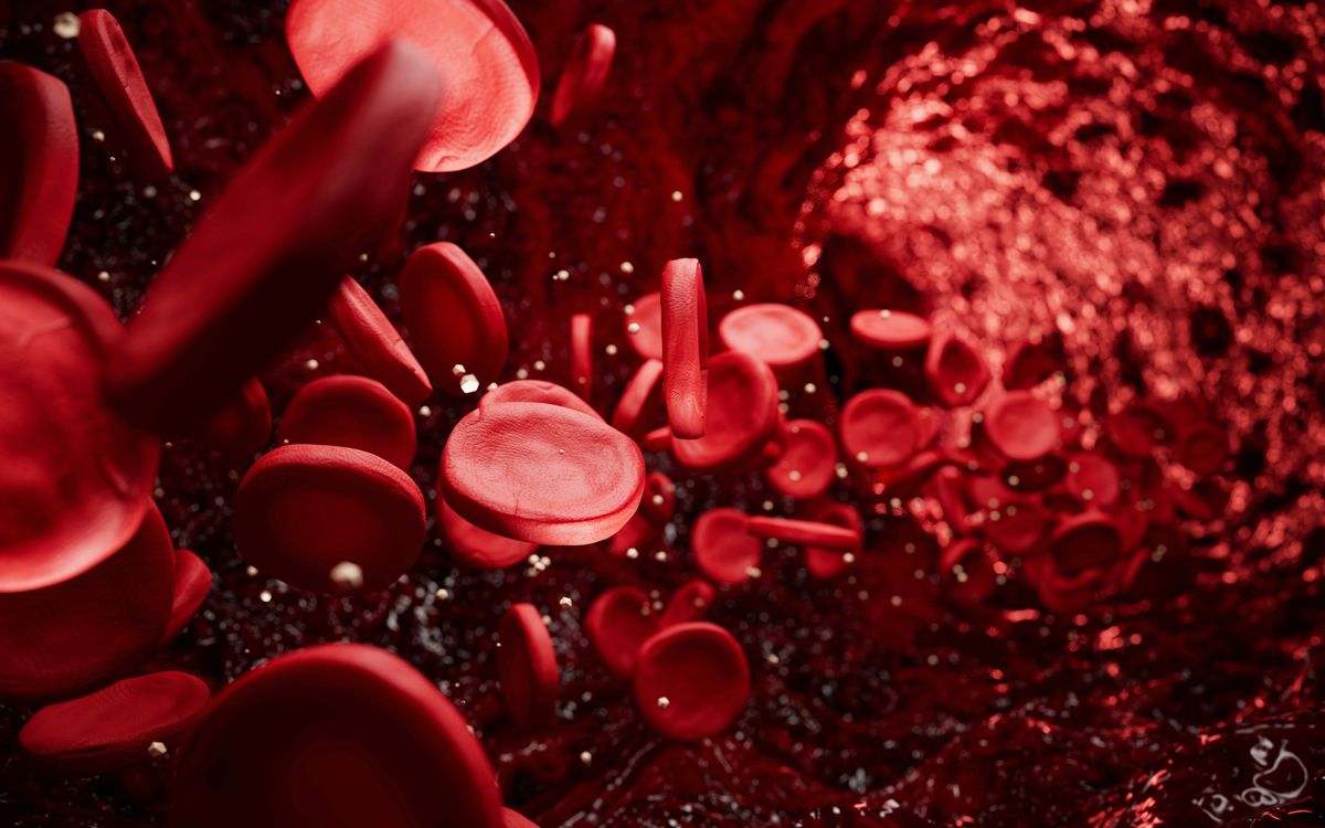 Sickle cell disease is an inherited blood disorder that disproportionately affects people from African or Caribbean family background