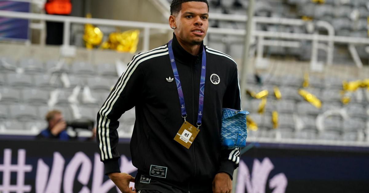 Newcastle United weighing up options over forward Will Osula