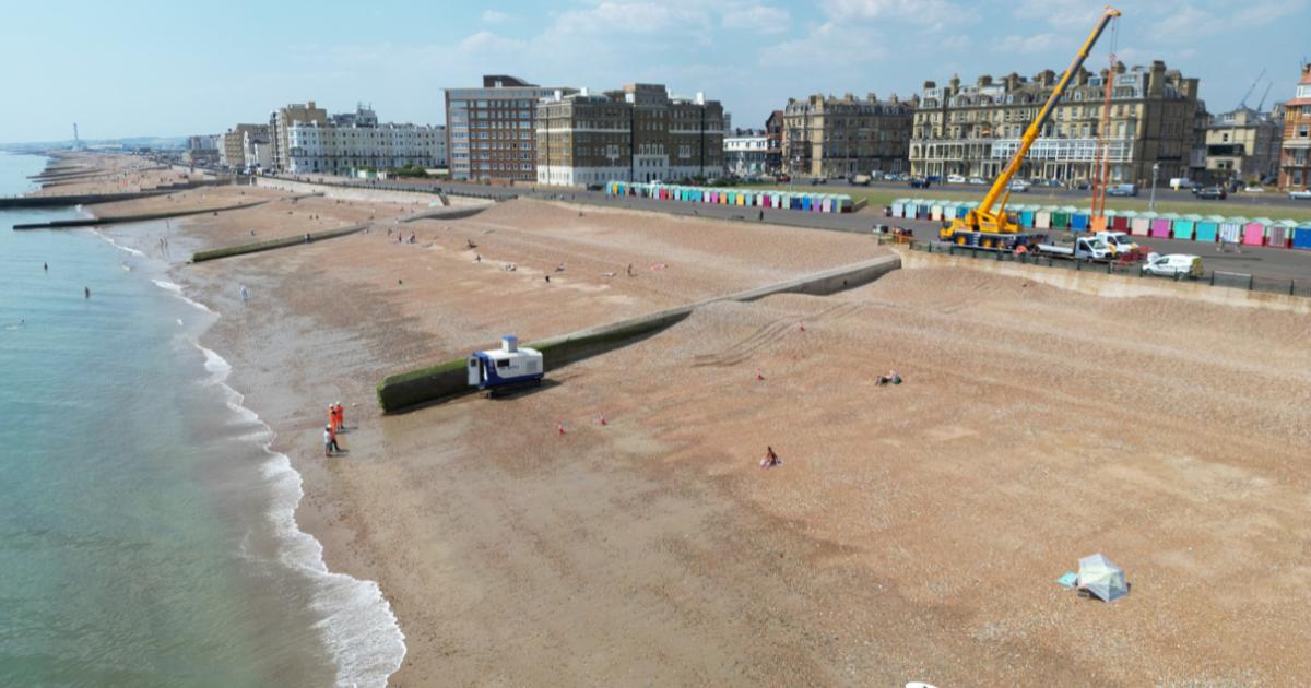 Atlantic puffin washes up on Hove beach after Storm Goretti