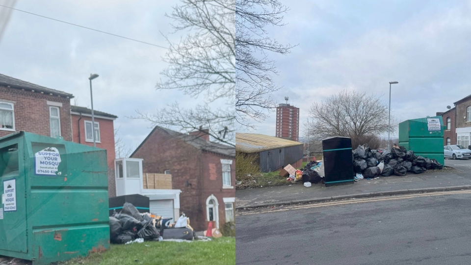 Images courtesy of Addy Shan