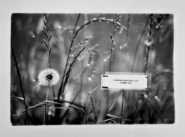 2026_Kincaid, Lindsey (Single Step) - Lindsey Kincaid