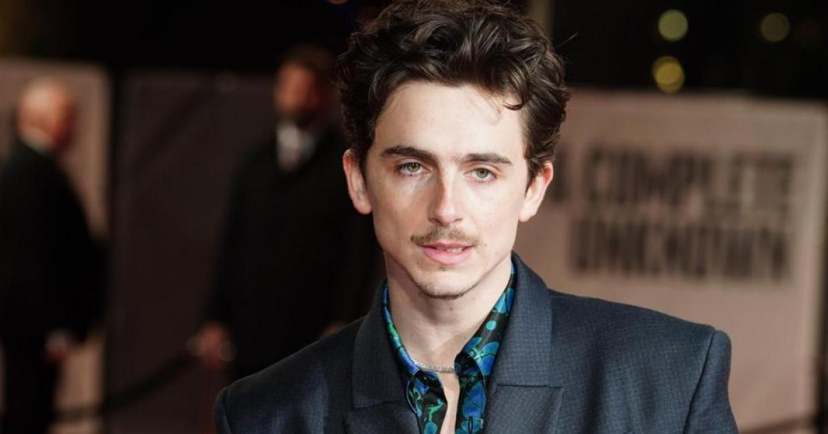 Actor Timothée Chalamet talking about his time in Dorset