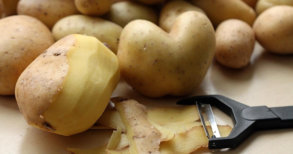 New food waste recycling collection coming soon to Poole