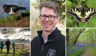Norfolk Wildlife Trust celebrates 100 years of nature