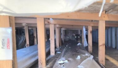 Injured deer assisted during Suffolk and Norfolk call outs