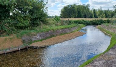 Anglian Water launches £11m Catchment Regeneration Fund