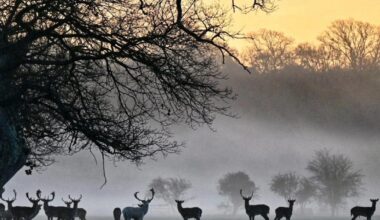 Camera club: Some of our best photos from the year 2025