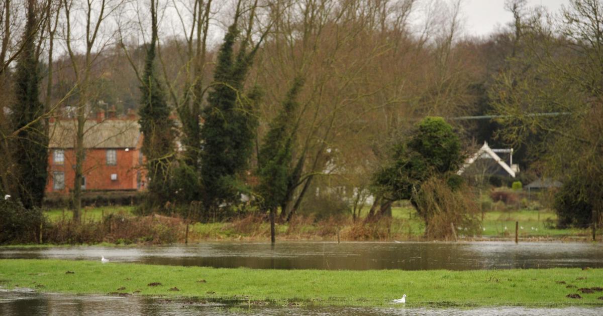 Environment Agency issues flood alert for Suffolk rivers