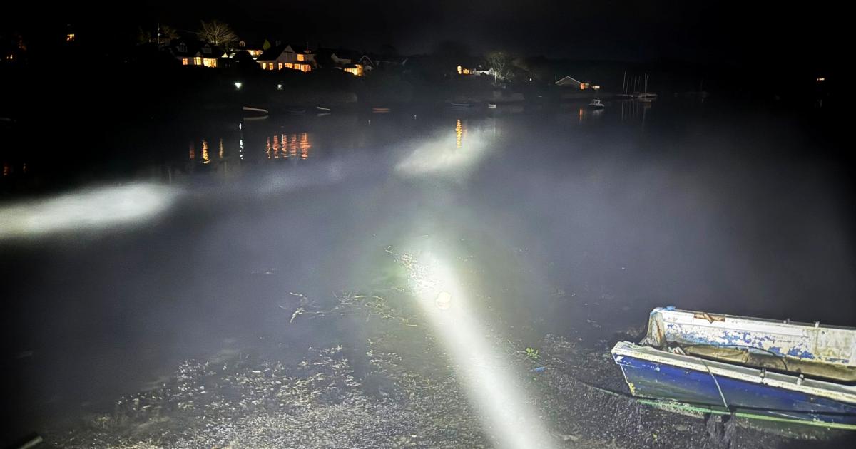 Dolphins in Cornwall at Truro and Mylor Yacht Harbour