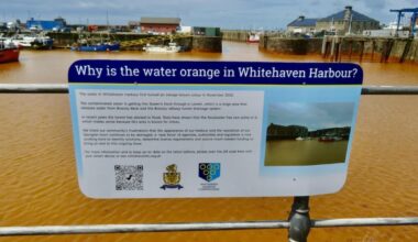 Polluted water from mines should be 'decontaminated', group says