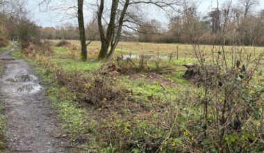 Broken Bridges nature reserve project hosts supporter update