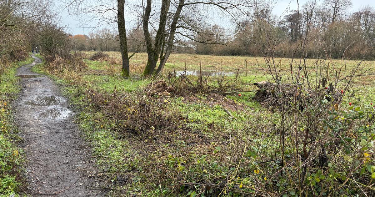 Broken Bridges nature reserve project hosts supporter update