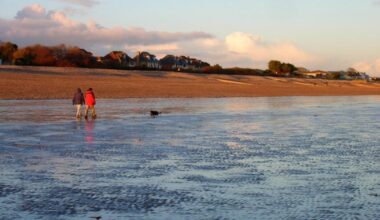 Creature's rotting body washes up on West Sussex beach