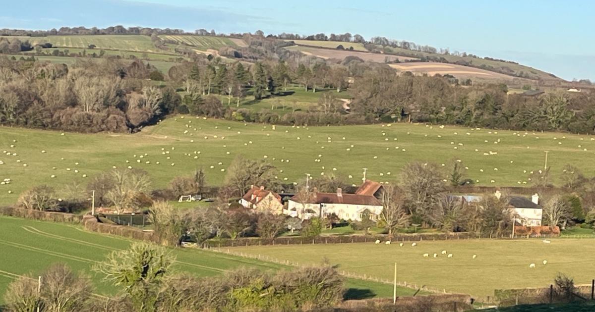 Corhampton golf course expansion would mean 42,600 lorry movements